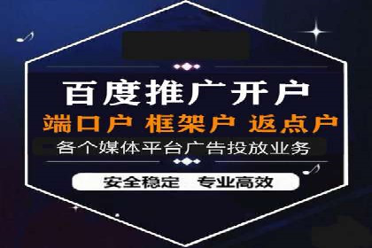 百度推广运营实战：成功案例解析